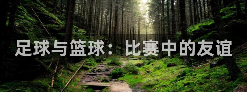 杏悦2体育代理申请流程