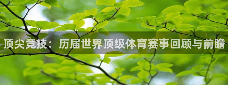 杏悦2体育注册平台