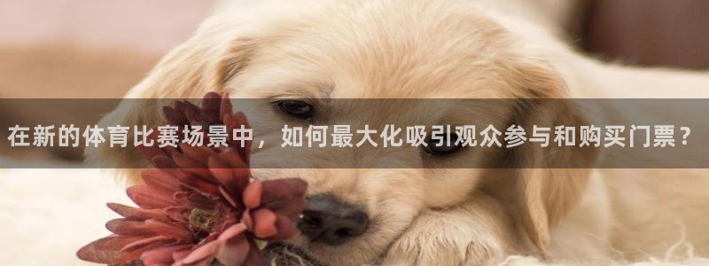 杏悦2代理注册链接
